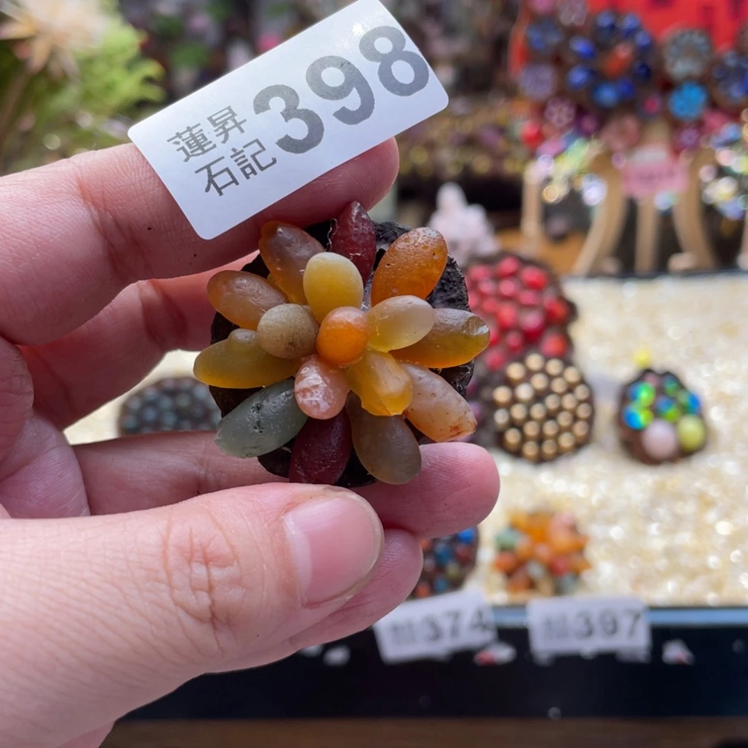 核桃木/黑胡桃（胡桃木）398