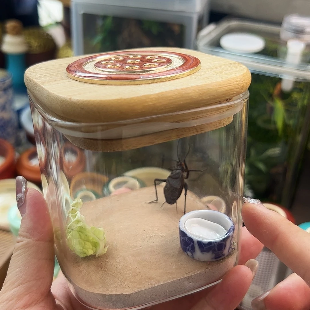 麒麟套餐哈哈哈哈哈后盖哥哥