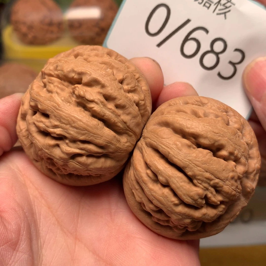 文玩核桃把件毕业肉球霸王龙44