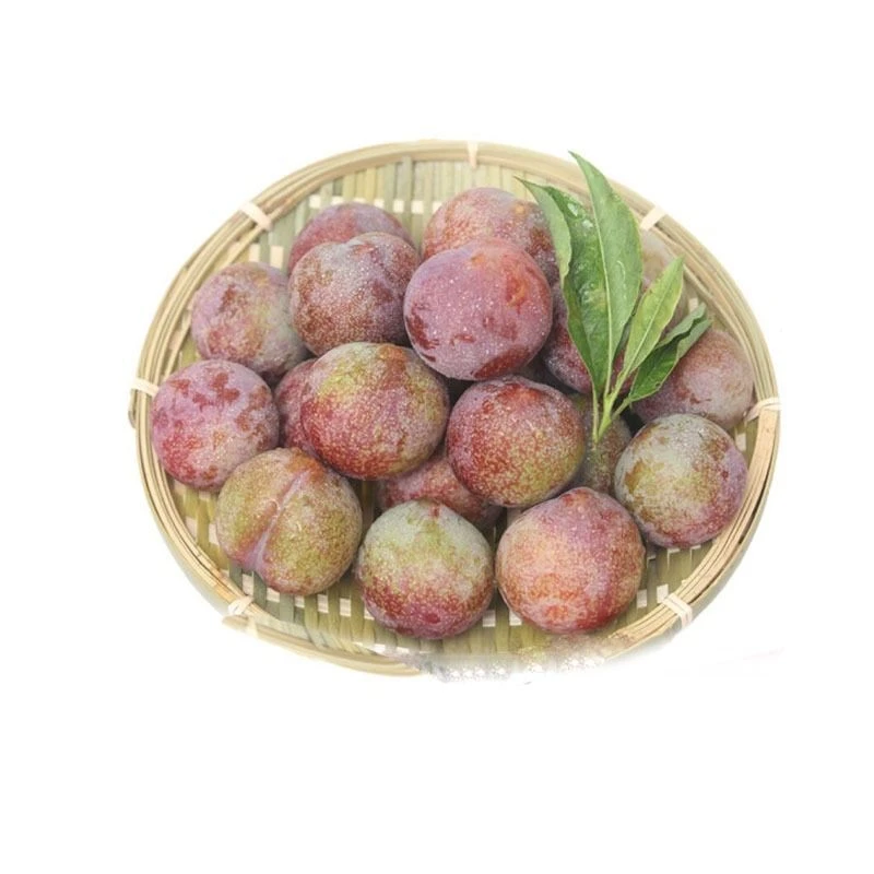 新鲜三华李约500g