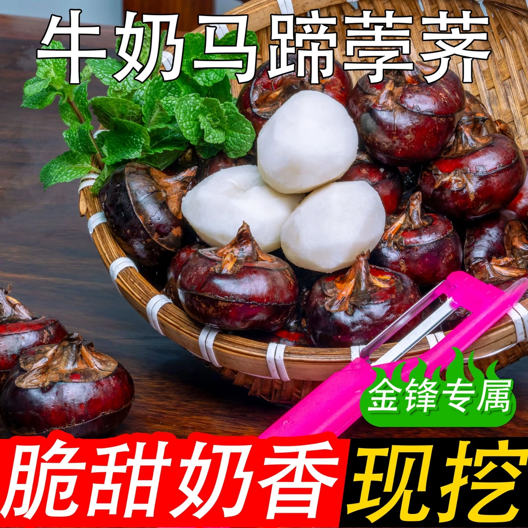 【金锋专属】广西贺州红皮新鲜水果马蹄农家自种清脆多汁