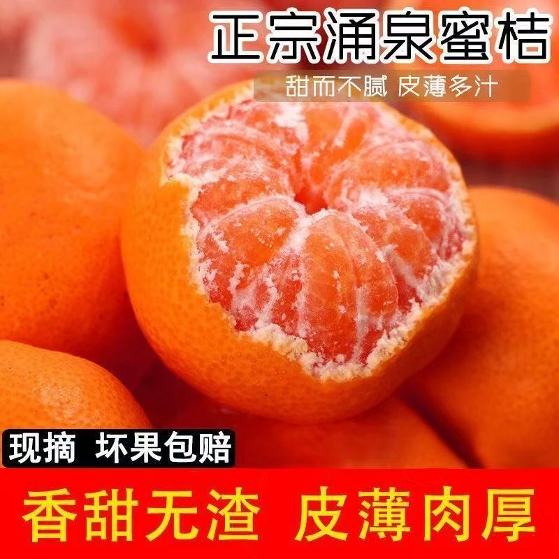 【顺丰包邮】临海涌泉蜜桔高山蜜桔皮薄无渣无籽自然甜孕妇老少皆宜