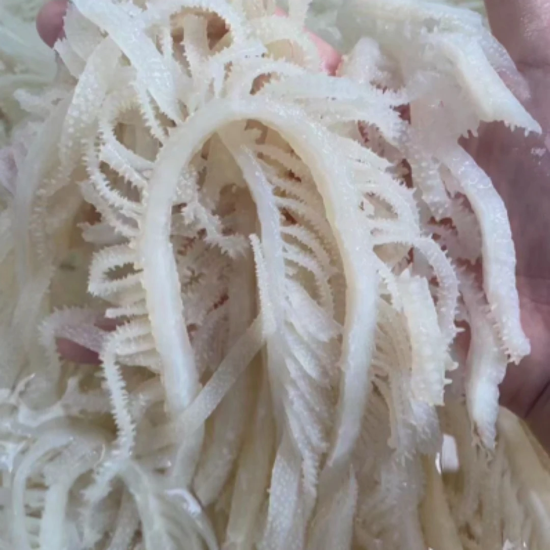 精品白千层1斤一包