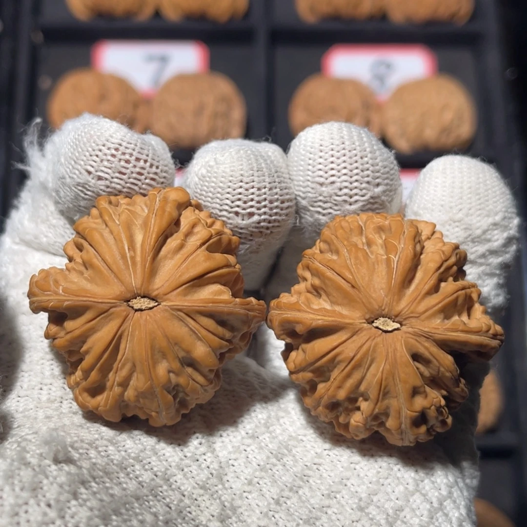 心***在文玩核桃吊坠03秦皇岛山地果全品