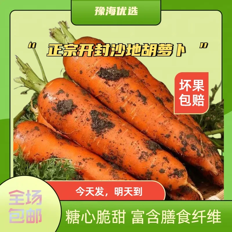 【今天买明天到】河南开封农家自种新鲜现拔带泥胡萝卜脆甜爽口3斤，5斤，9斤新鲜胡萝卜