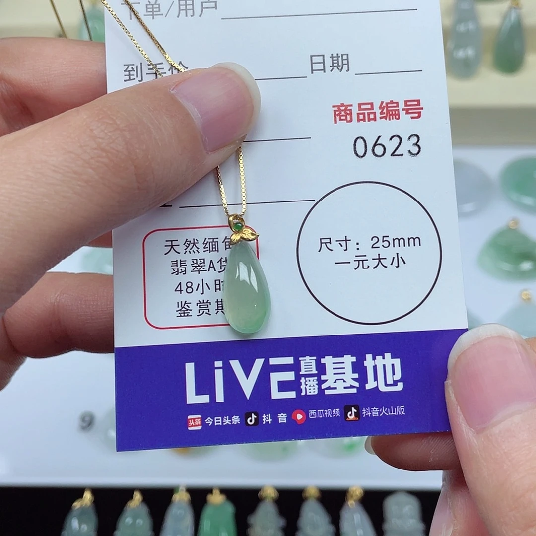 翡翠颈饰未镶嵌翡翠