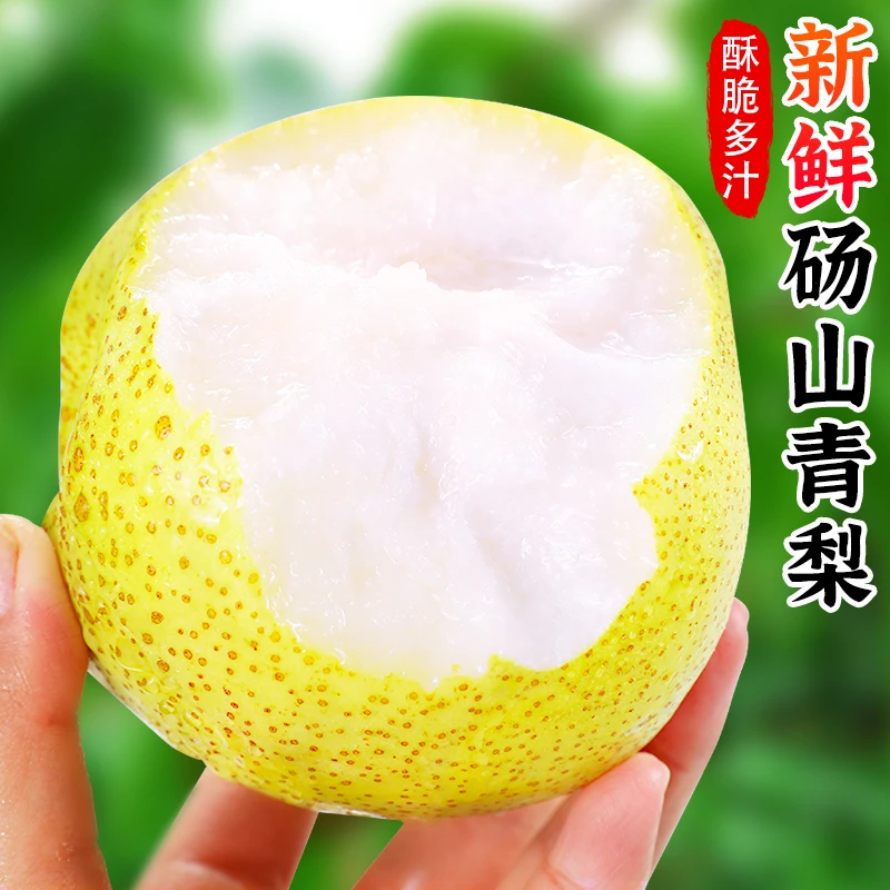 【香甜多汁】砀山青梨2-9斤正宗砀山梨子黄皮蜜梨雪梨酥梨新鲜水果