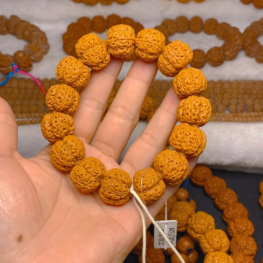 手串金刚菩提古**林     12