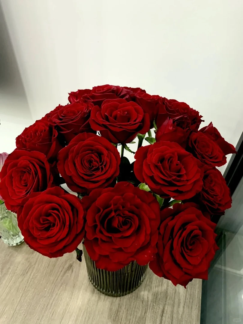 黑魔术玫瑰20支 两单升级顺丰冷链 收到需醒花摘叶