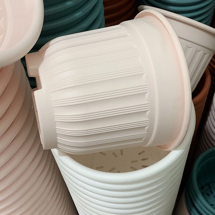 罗马口21高18粉4个