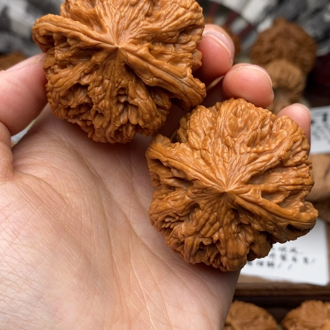 把件文玩核桃555号49粗筋