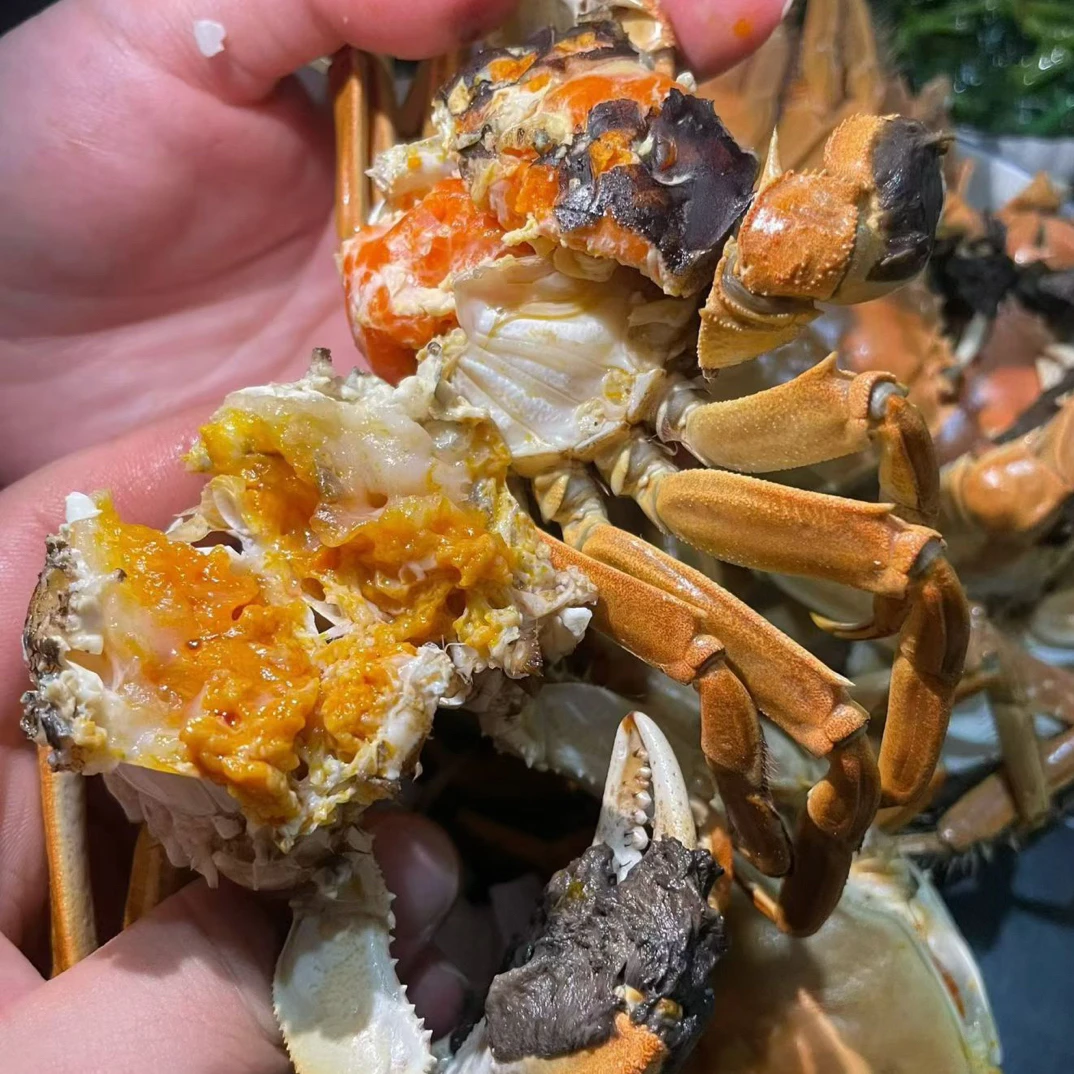 活蟹-顺航大闸蟹（公蟹3.3-3.6两4只）（母蟹2.9-3.2两4只)4对-8只装
