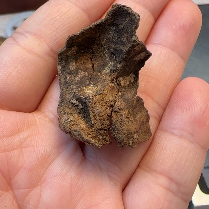 摆件沉香老海南沉水包头1.6克