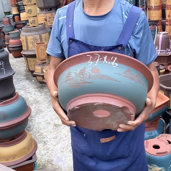 紫砂花瓶紫砂花盆盆栽植物种植