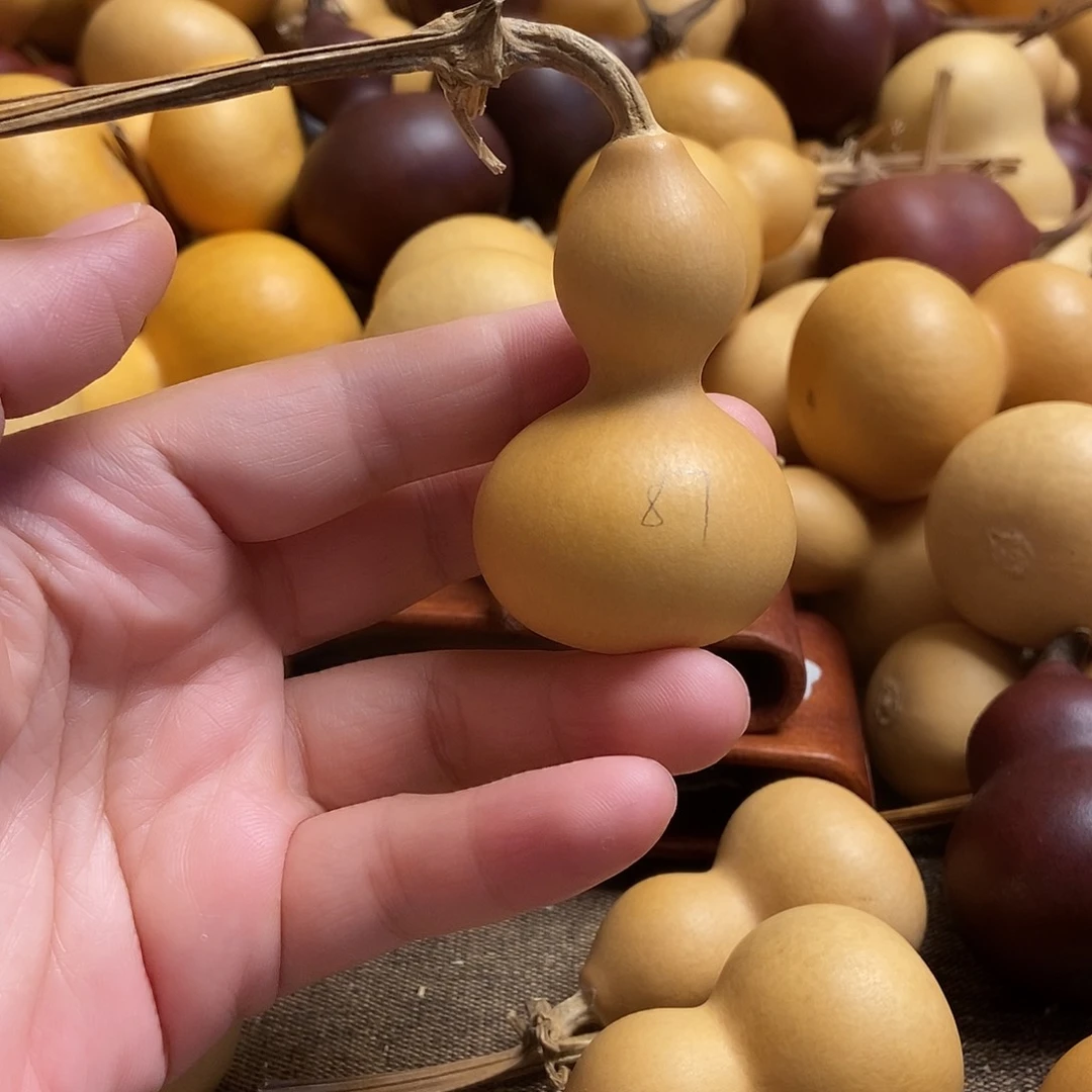 文玩葫芦 完美主义者 慎拍87