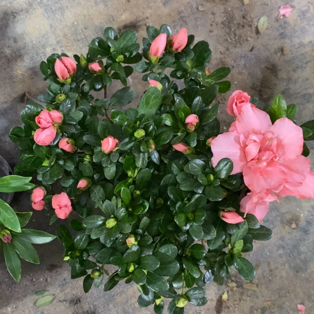 完全开放22222222