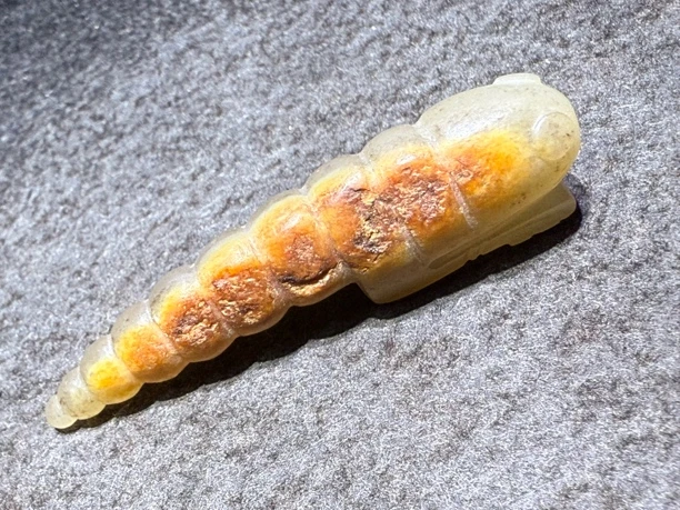 黄沁图腾纹龙宝佩