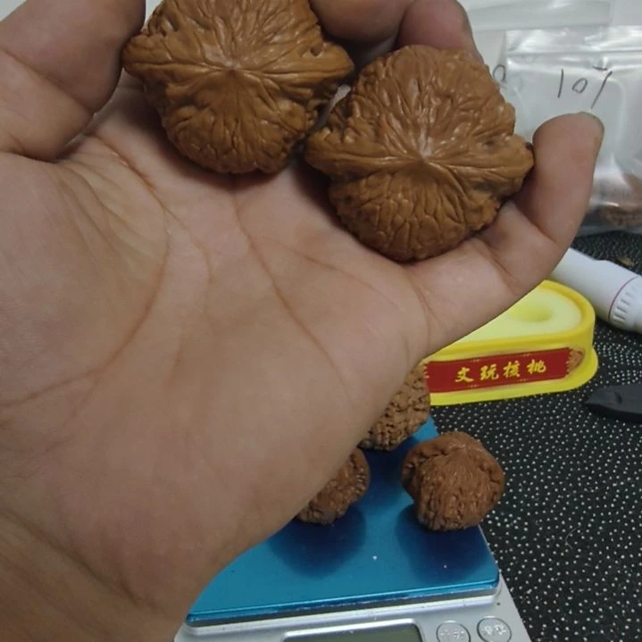 43铁锤妹妹微修看好的来拍