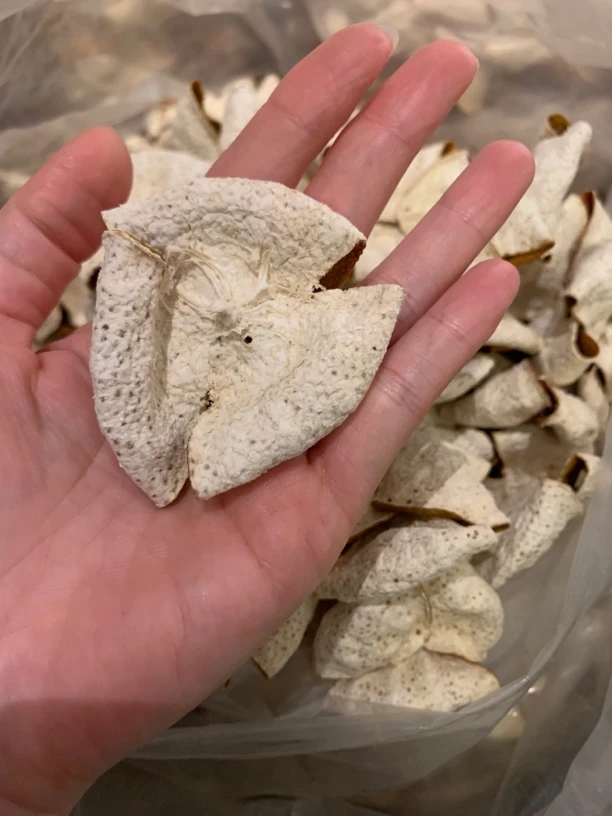 广西浦北 2024年 25年老树折花大红皮