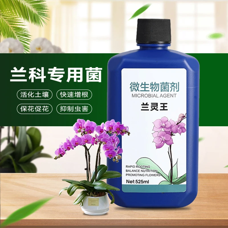 兰灵王兰花专用营养液促花蝴蝶兰君子兰科抑菌多箭兰墨兰养花肥料