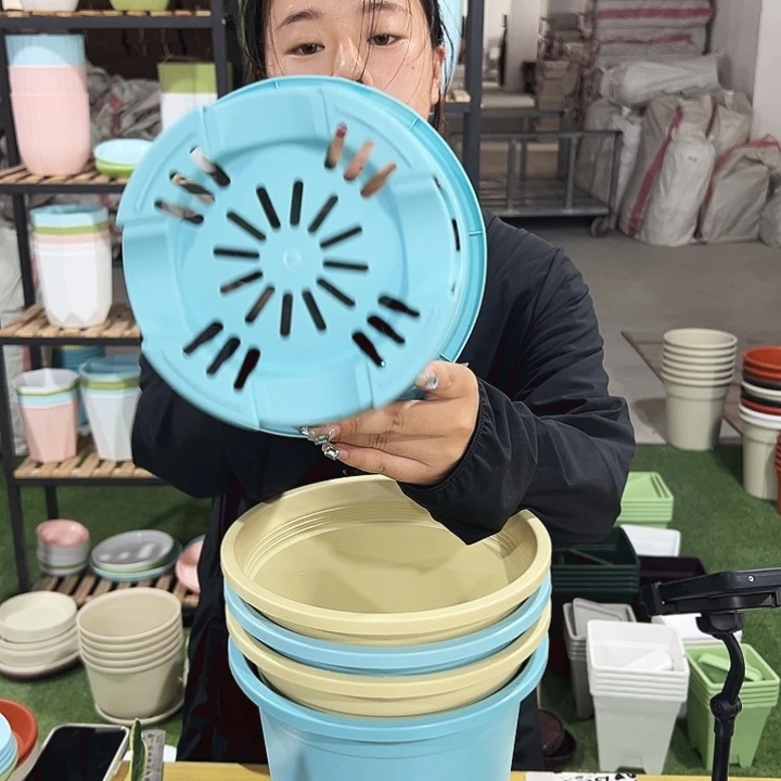 圆控根口21高21混色无托5个