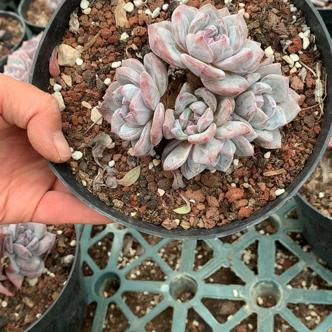 哈哈哈哈哈哈哈14