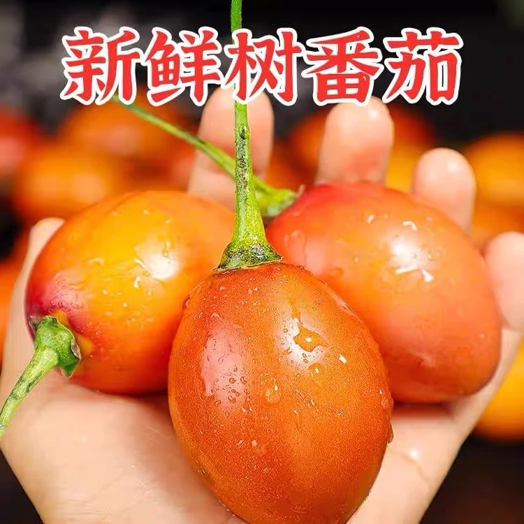 云南大树番茄番茄