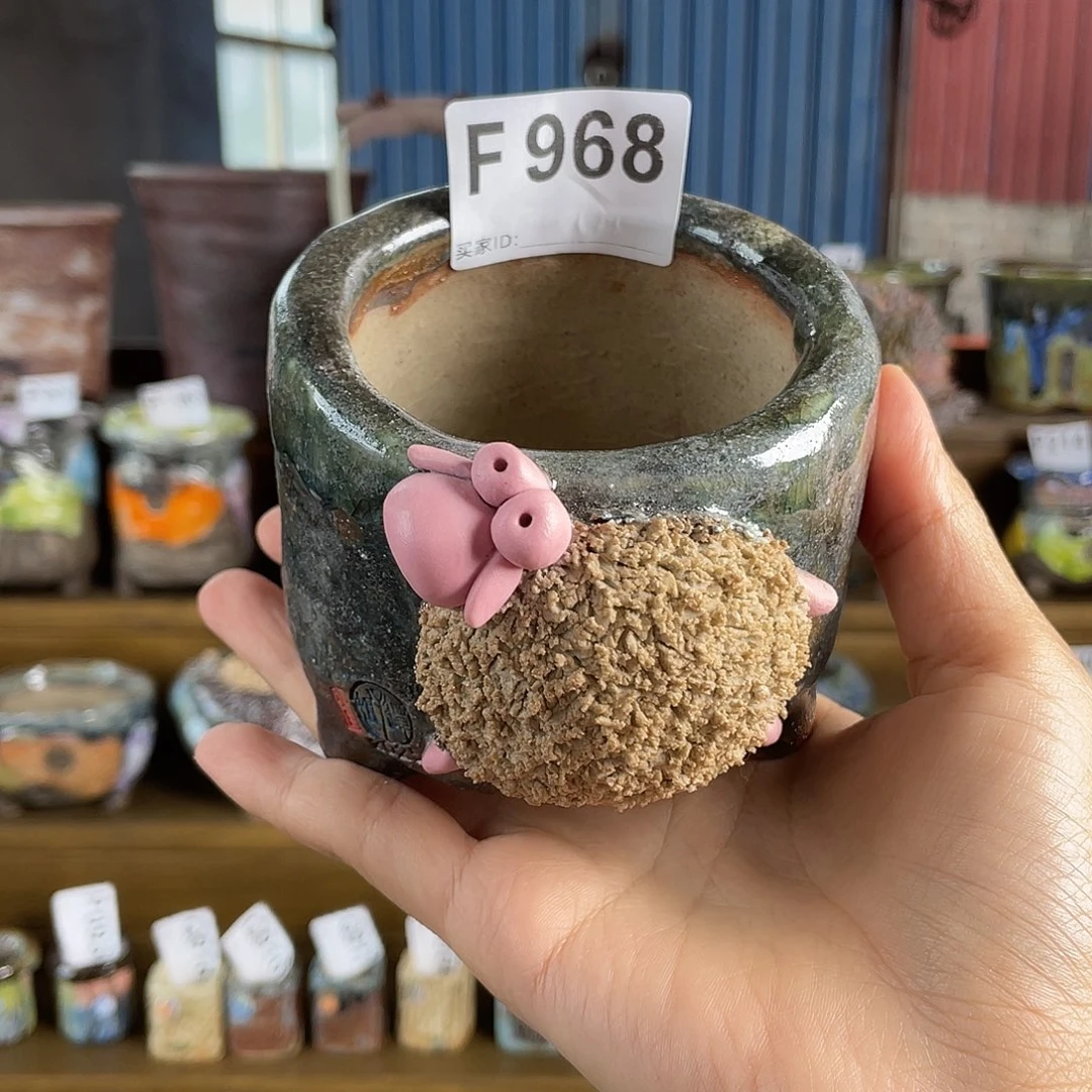 小白孤品 立体大羊 内口7左右 百搭