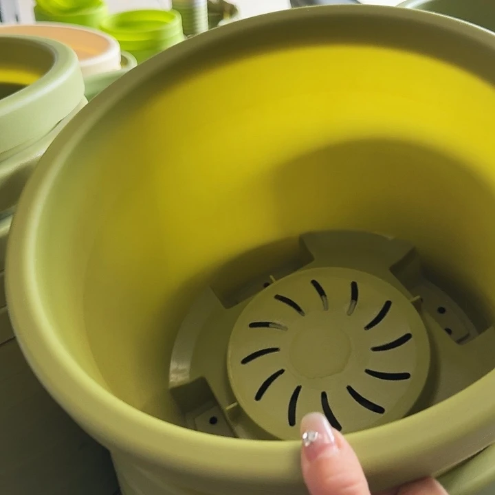 球根盆4号果绿无托5个