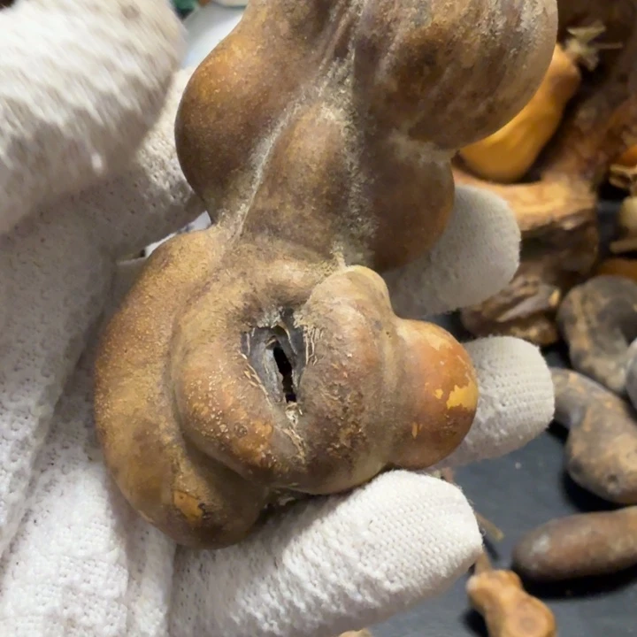 爱***油66666666667777777788