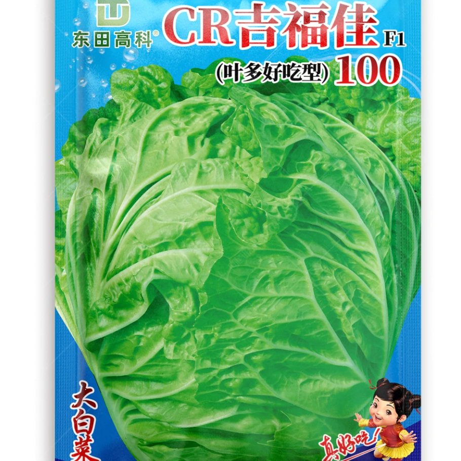 CR吉福佳100东田白菜种子抗病适应区域广山东白菜种子
