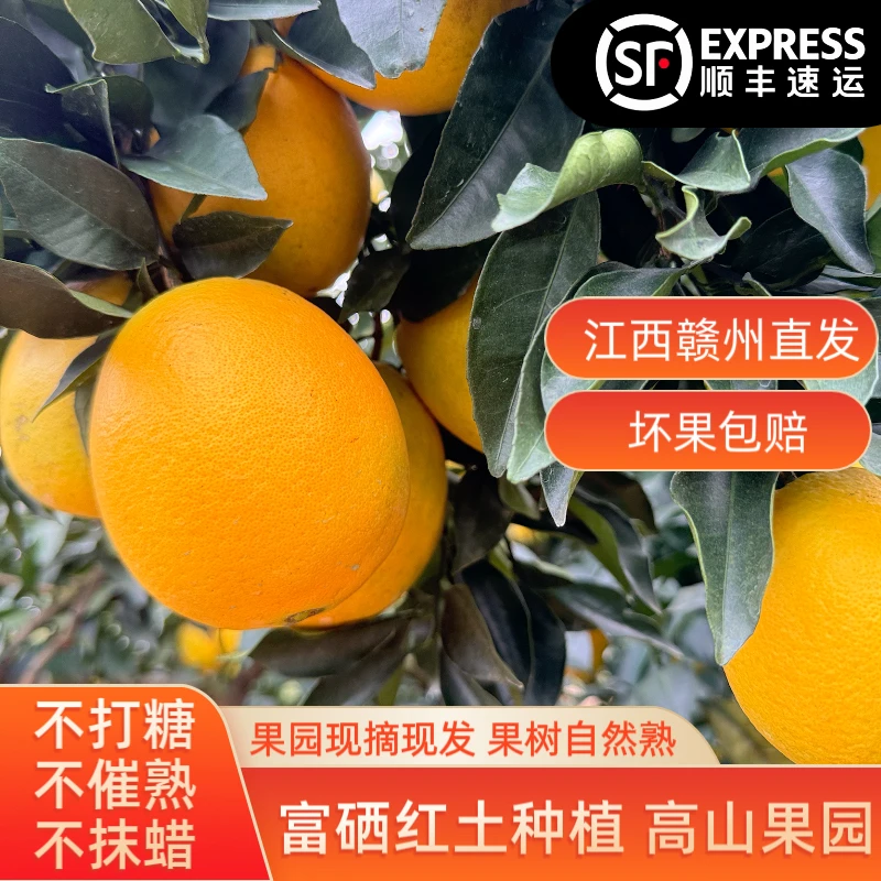 正宗赣南脐橙香甜多汁江西赣州产地直发当天采摘水果【九省包邮】