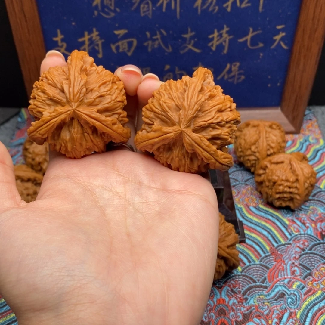 【闪购商品】猛*白狮