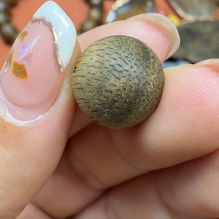 大叶紫檀（黑酸枝木类）