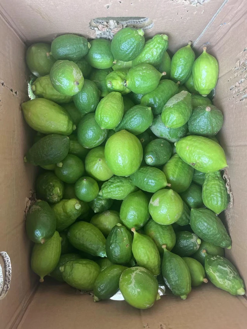 广东香水柠檬2级果四季柠檬新鲜采摘奶茶店专用爆香型轻微花皮