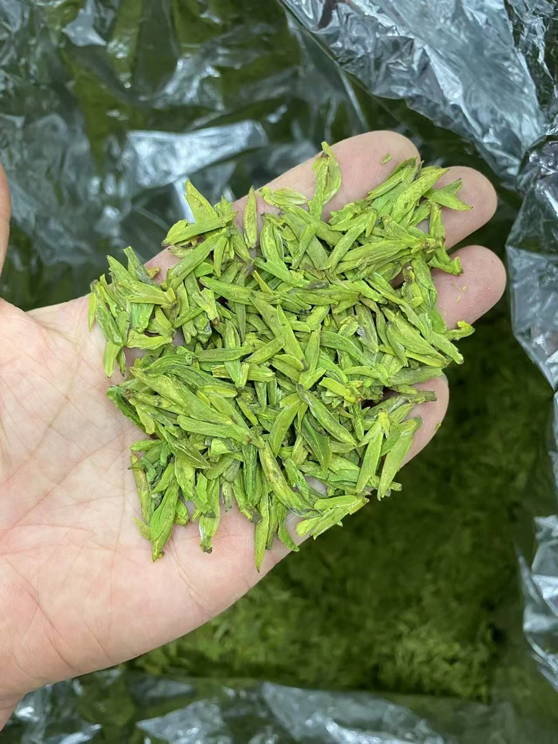 明前龙井新茶鲜爽回甘耐泡茶叶