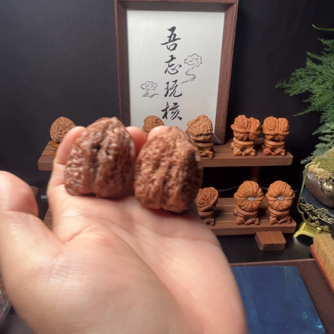 核桃37mm全品壁虎大红皮