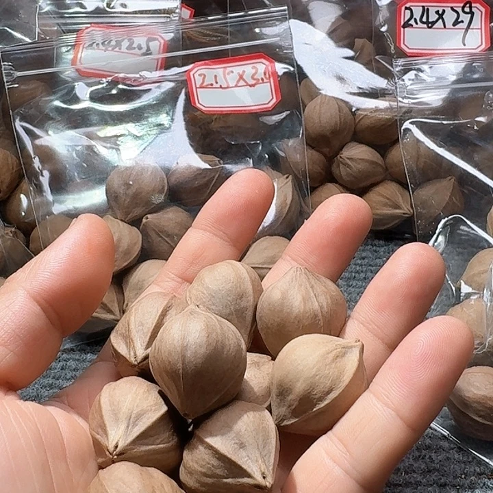 吊坠橄榄核旭**?2.5❌2.7