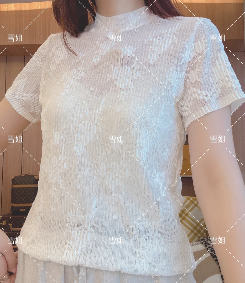 雪姐服饰「云霓立领T」打底衫薄纱T恤女2025新款内搭立领短袖上衣