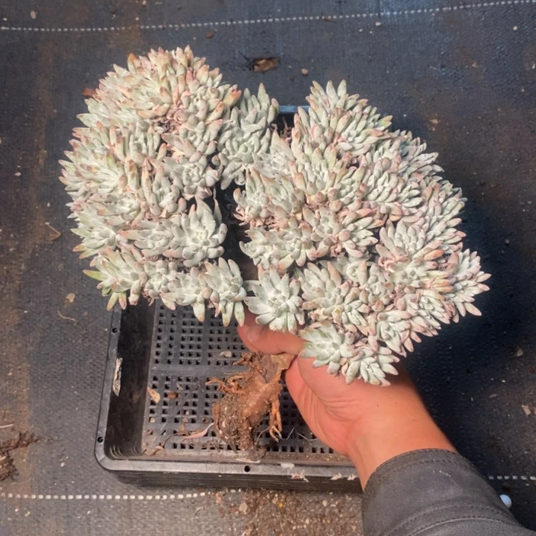 3835哈哈哈哈哈哈哈