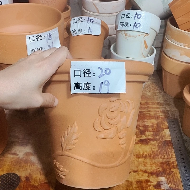 玫瑰20×19-1