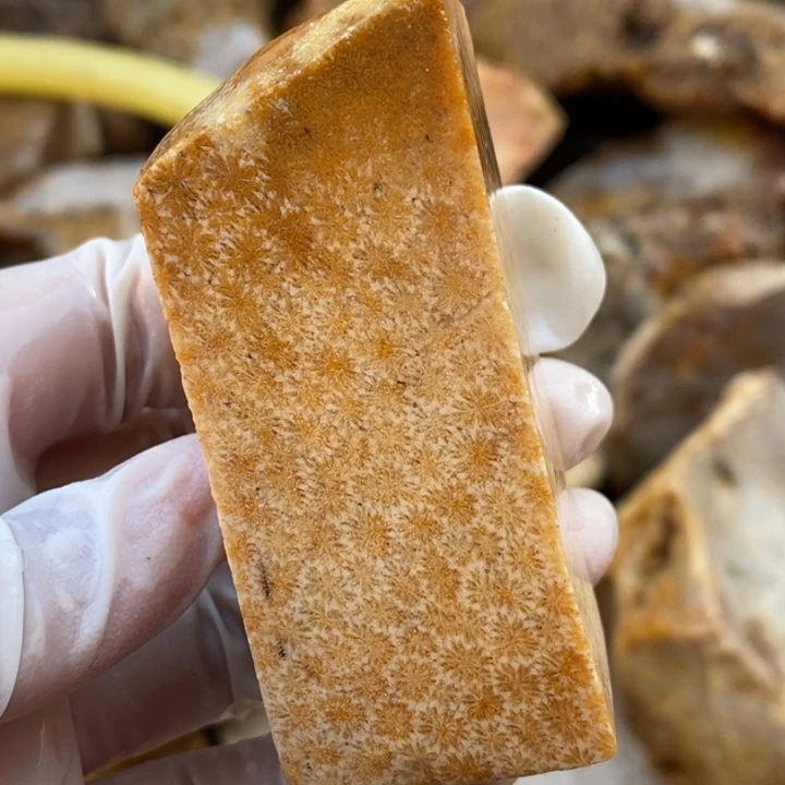 【闪购商品】未镶嵌珊瑚玉硅化玉