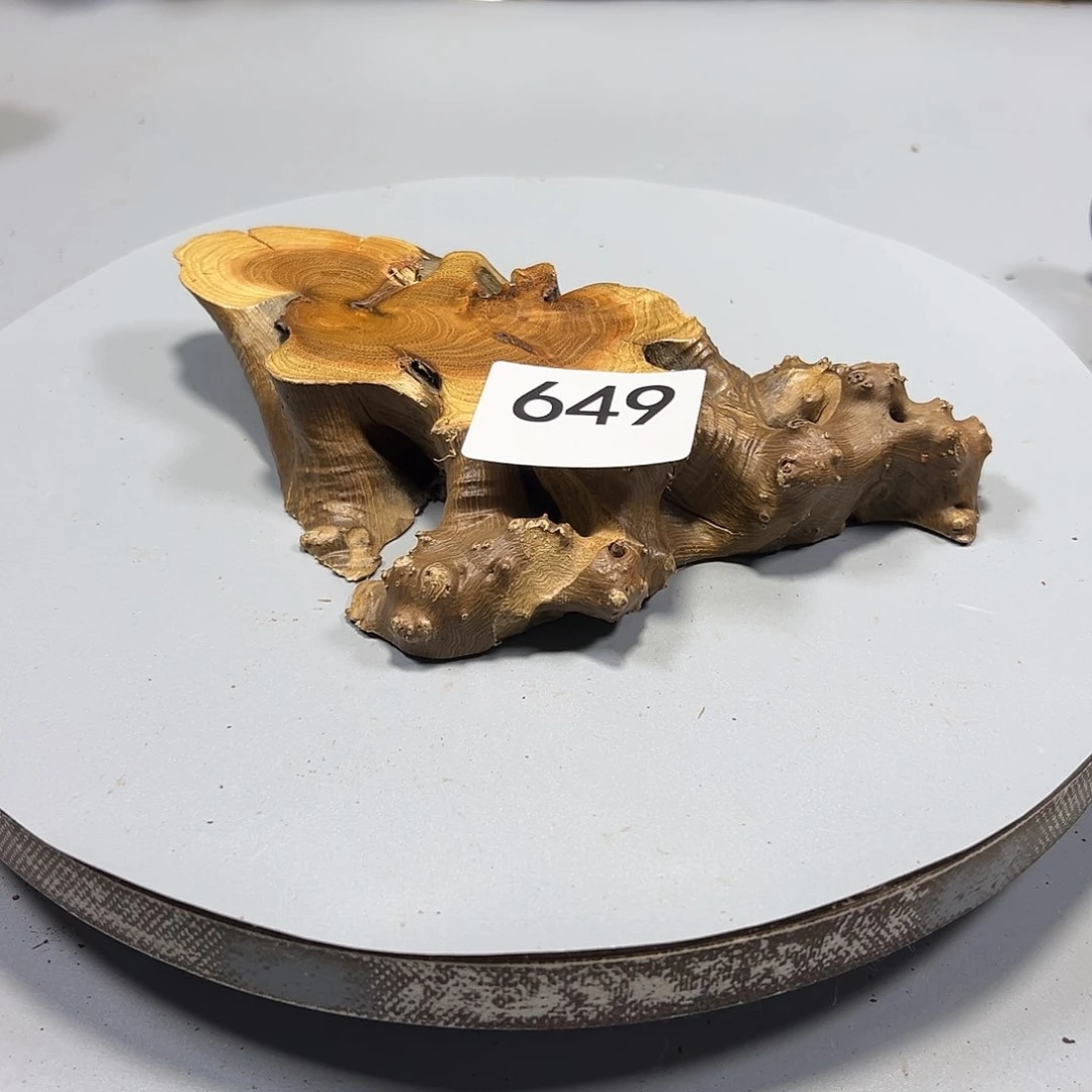 大果紫檀（缅甸花梨）青*