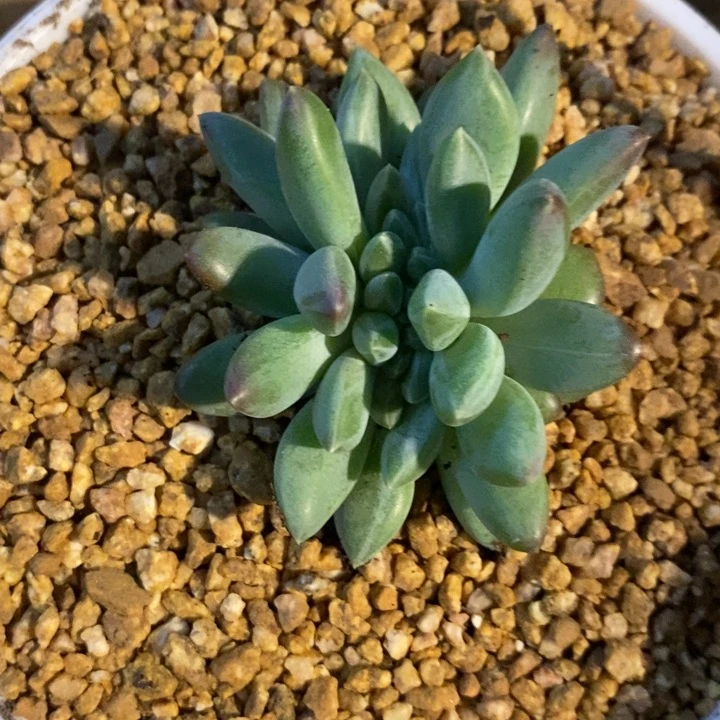 种**森我是真的很喜欢