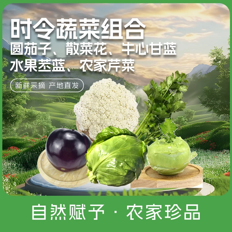 密之蓝天 密云本地时令蔬菜组合共5斤（圆茄子、散菜花、牛心甘蓝、苤蓝、芹菜）芹菜