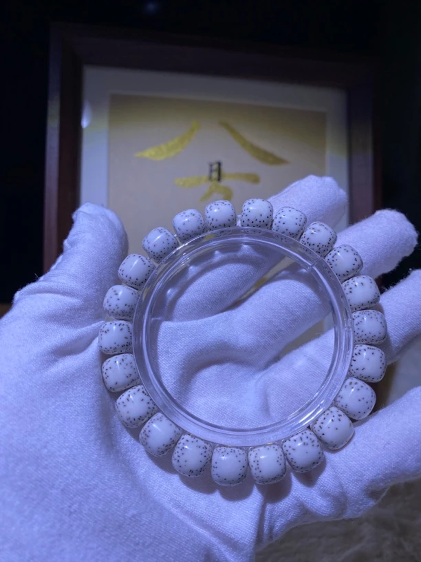 #618海南料原生态同枝果 （随机发，勿乱拍）