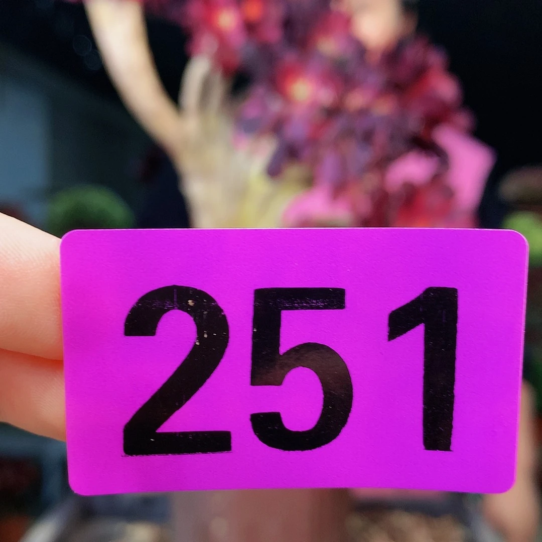 Sssssssssssssssss251