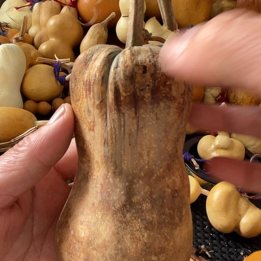 酒***子葫芦哈哈哈哈哈哈哈哈