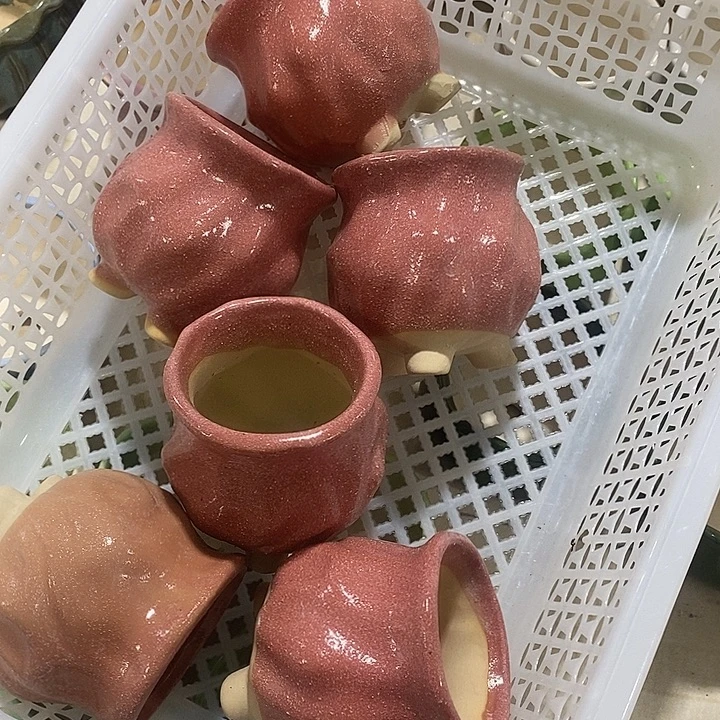 花盆抢购清货马上开始