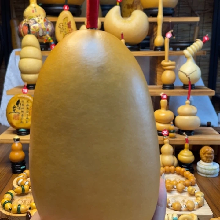 林****天然葫芦自然生长